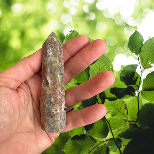 Torri di Agata Muschiata