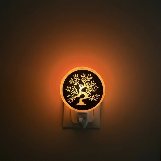 Luce Notturna di Sale Rosa dell’Himalaya Bonsai