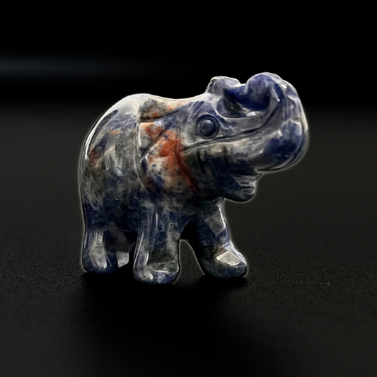 Elefantino in Sodalite