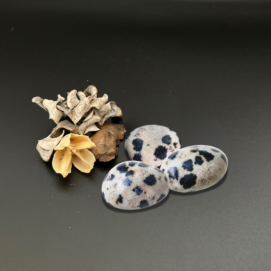 PIETRA DALMATA