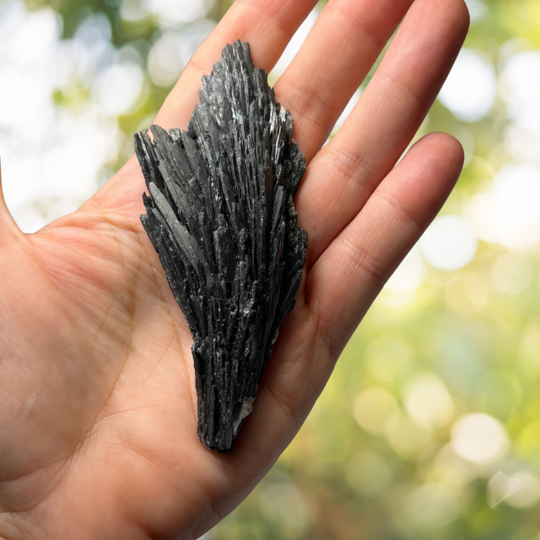 Cianite Nera a Ventaglio