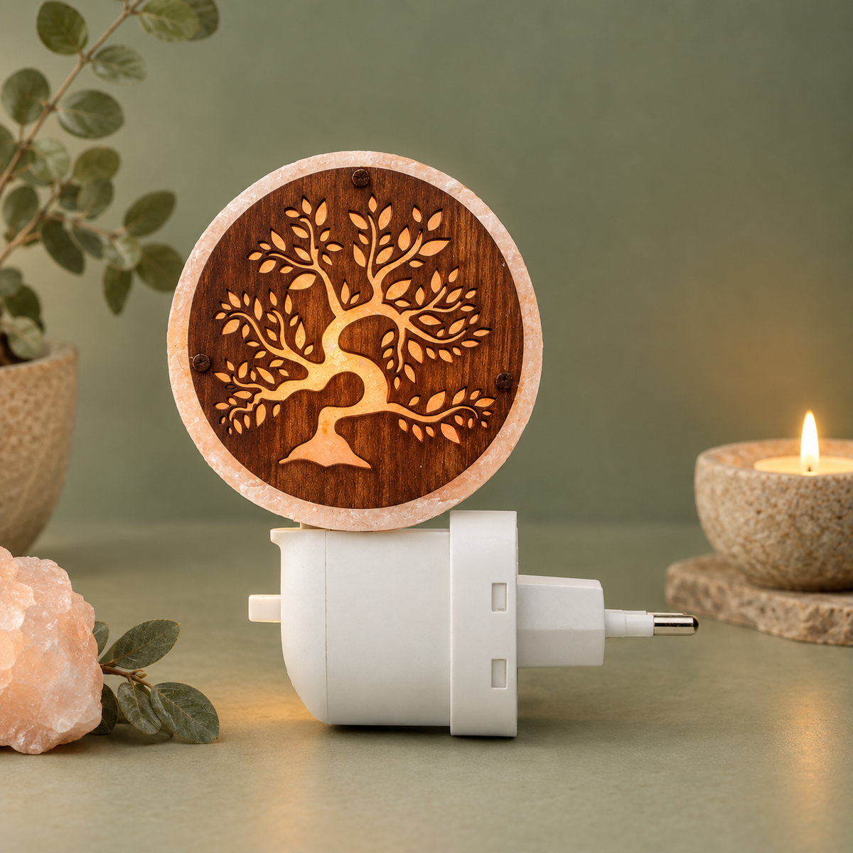 Luce Notturna di Sale Rosa dell’Himalaya Bonsai