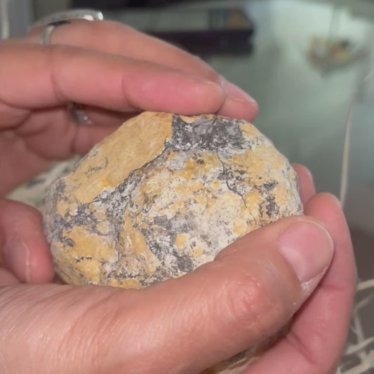 Geode di Quarzo